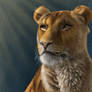 Lioness digital painting with time lapse video