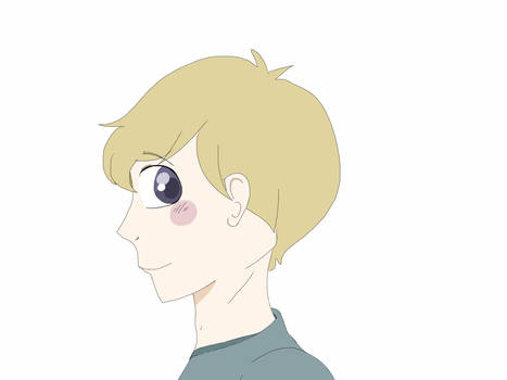 More APH Finland