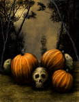 Pumpkin patch by JPMNeg