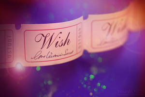 Take a Wish