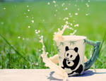 Panda Splash by YasminNich