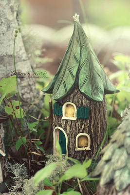A Fairy's Home