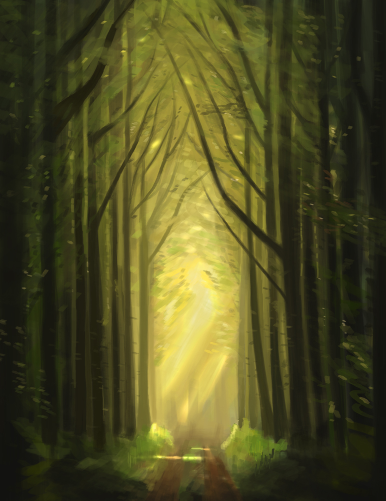 Forest Path - Study