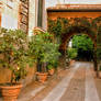 -Stock- Italian Entrance With Lemon Trees