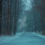 -Stock- Frozen Road
