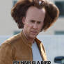 Nicolas Cage's Bird Hair