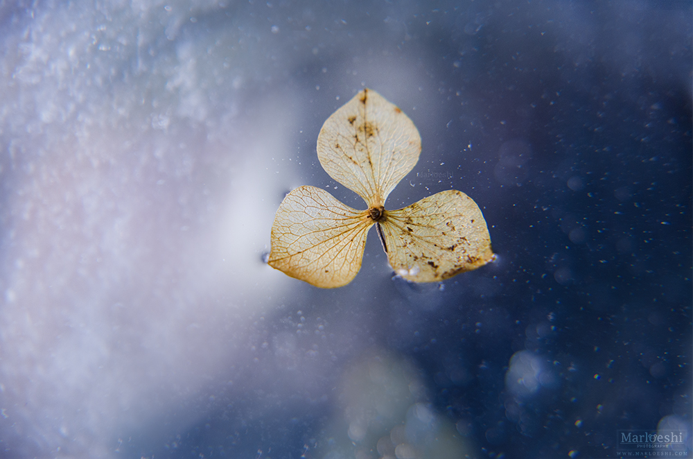 Drifting away by Marloeshi Drifting away by Marloeshi