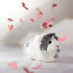 Everlasting love by Marloeshi Everlasting love by Marloeshi
