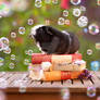 Bubble Party