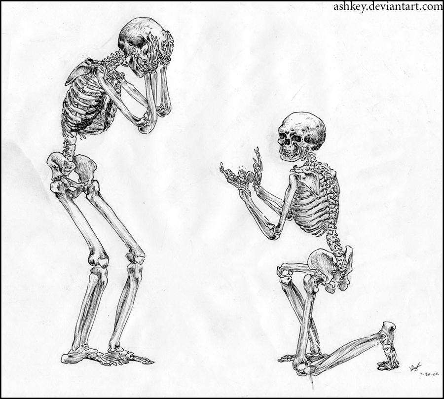 Skeleton by ashkey on DeviantArt