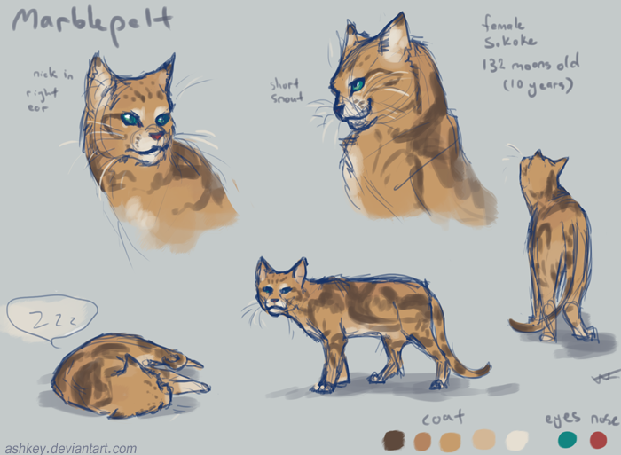 Marblepelt Ref WIP