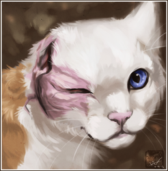 Brightheart