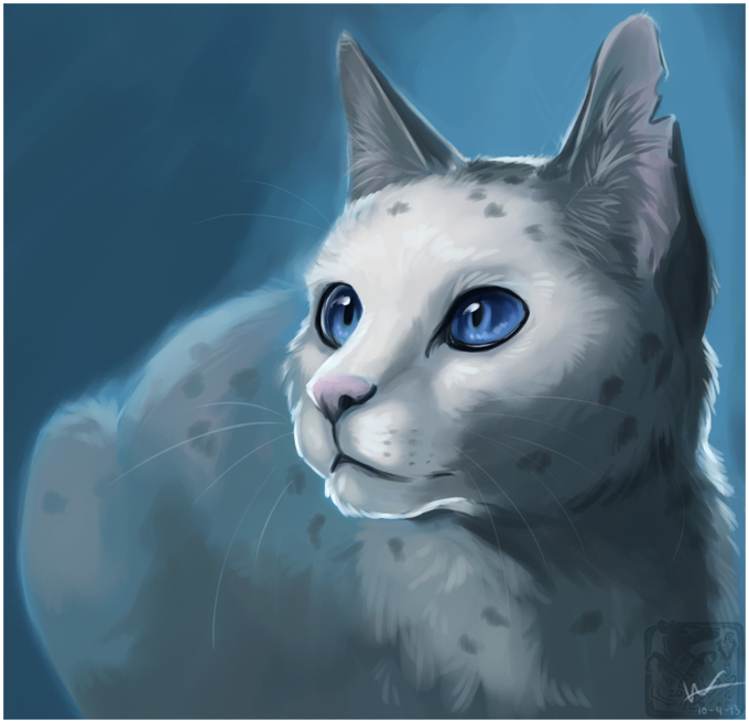 Bluestar by Muzli on deviantART  Warrior cats, Warrior cats art