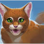 Squirrelflight