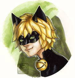 Chat Noir 92819