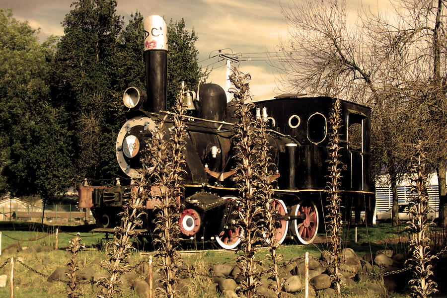 old train by vaneicequeen on DeviantArt
