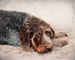Watercolor painting *Watchful* by AtelierArends