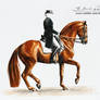 Dressage Horse in Piaffe [S]