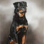 Kimba, drawn in Pastell ! Commission