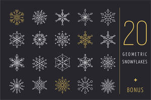 20 geometric snowflakes icons set