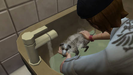 Sims 4 Random|037|Doggy Bathtime