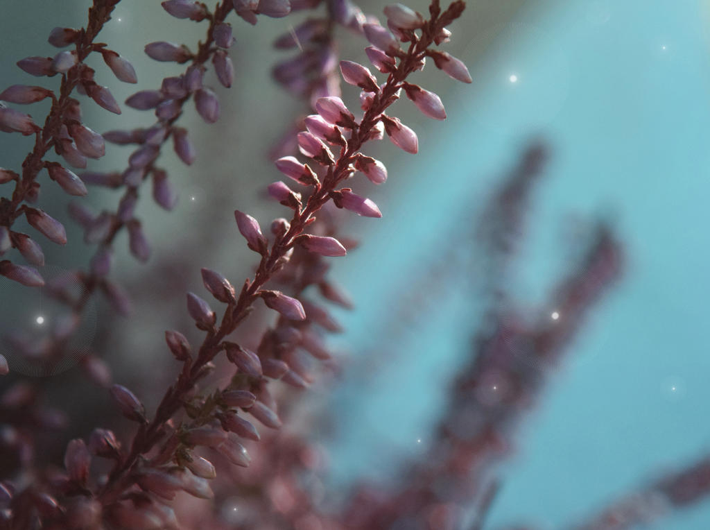 Under The Water by Seriiko Under The Water by Seriiko