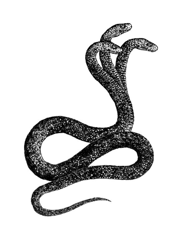 Змея значение символа