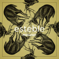 esteble - Promomix May 2013 (front)