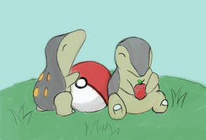 Cyndaquils Playing