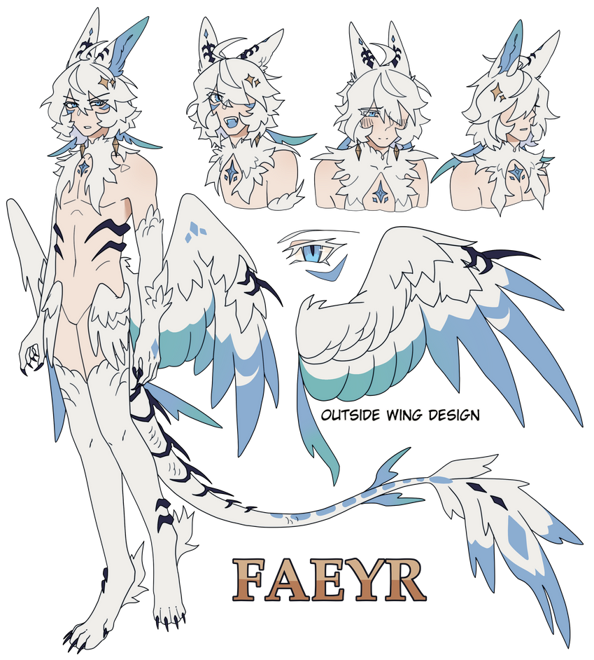 Faycloudborne Character Faeyr Reference by FrostyBirdy on DeviantArt