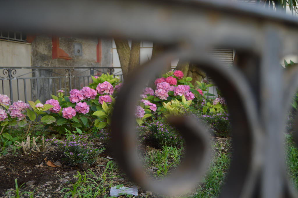 Through the Fence