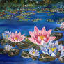 Water Lilies