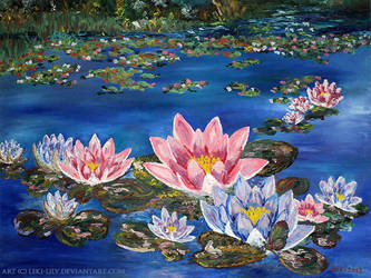 Water Lilies