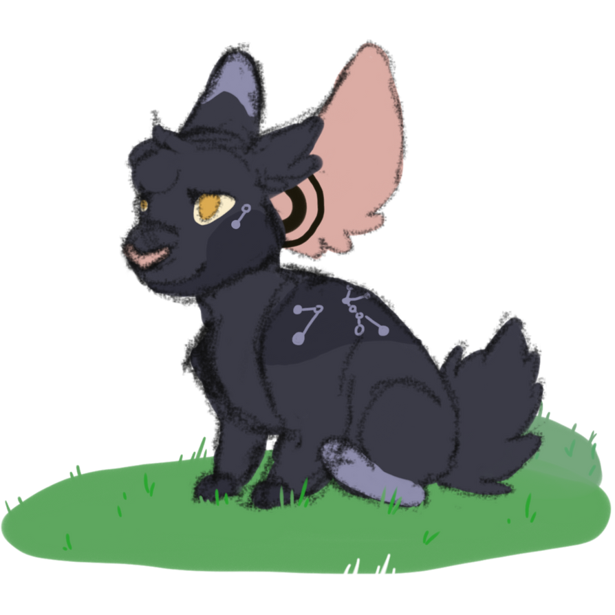 Fehin Fehin simplistic by Wyvernkid on DeviantArt