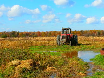 Rural Life