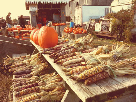 Farmer's Market