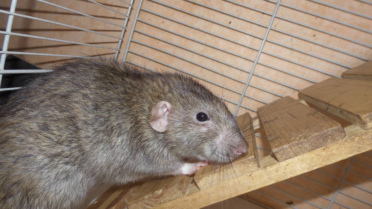 Cute Sam by OP-Girl16 on DeviantArt