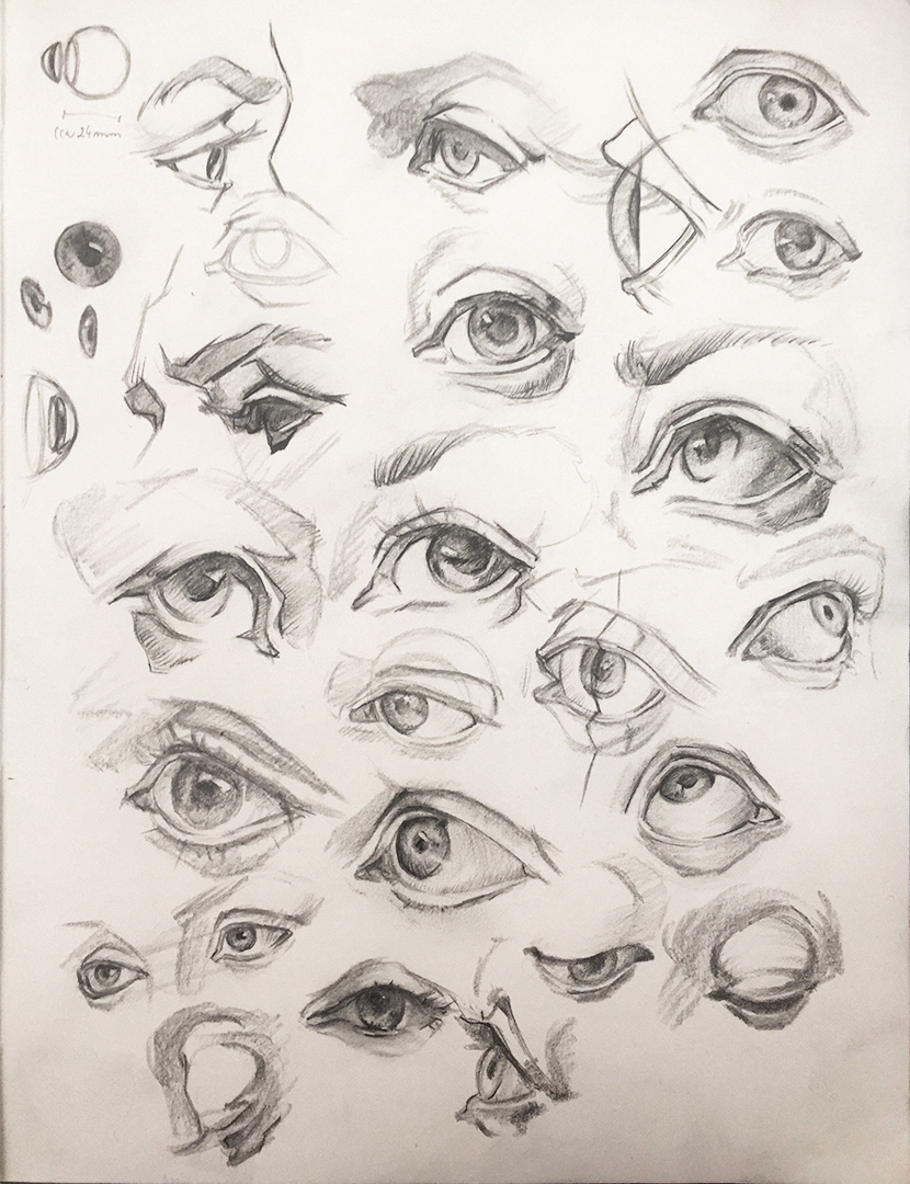 Eye Study/Reference by MangaTips-Com on DeviantArt