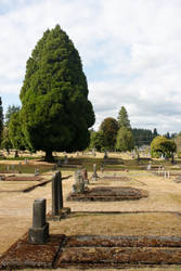 Cemetery