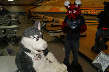 At the Furbowl