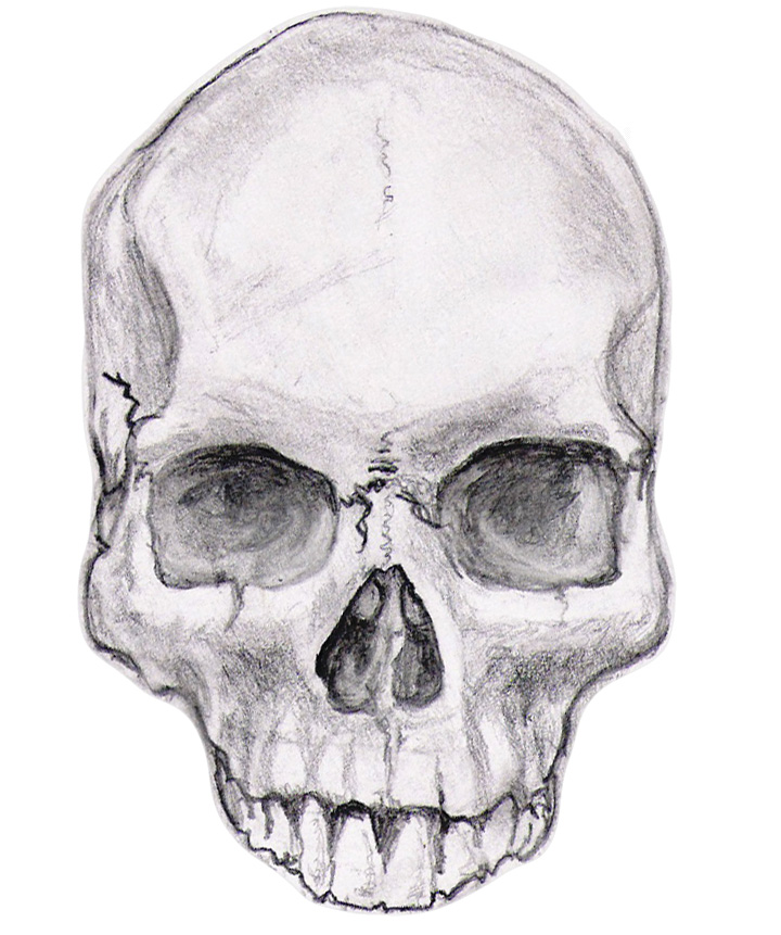 Another Skull