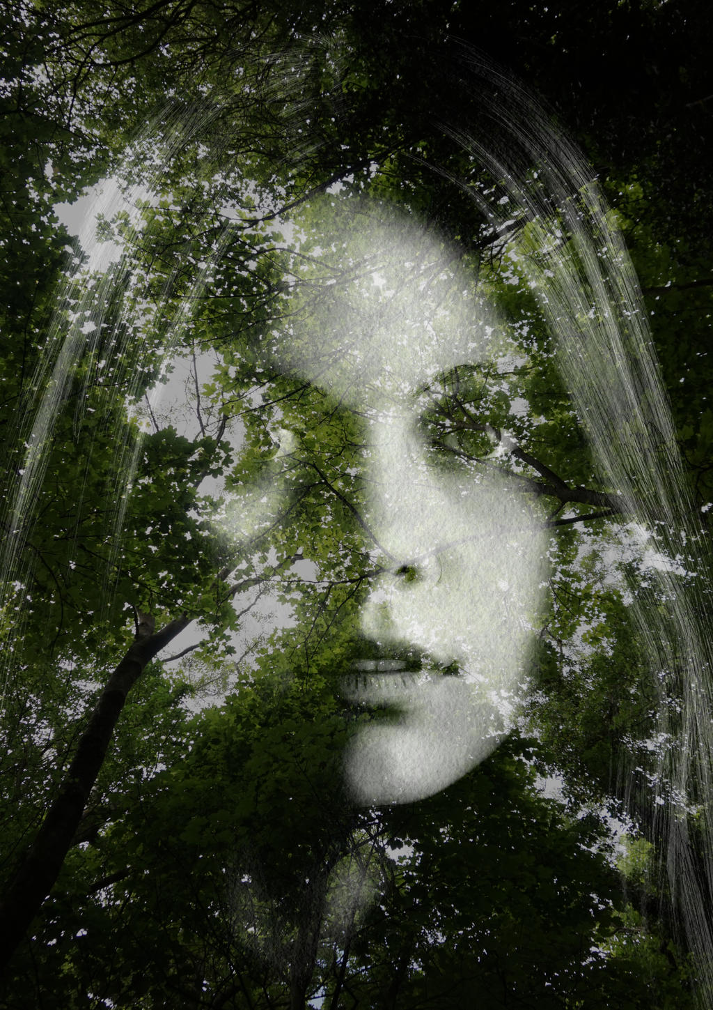 Jenn Tree Jennifer Tree by topsom on DeviantArt