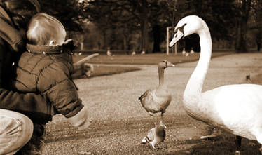 child in hyde park