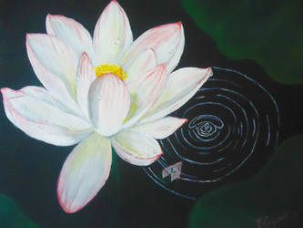 Lotus