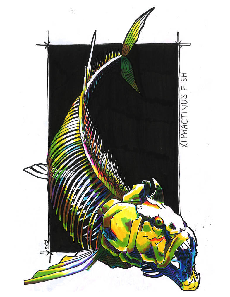 X-FISH by shelbyecandraw on DeviantArt