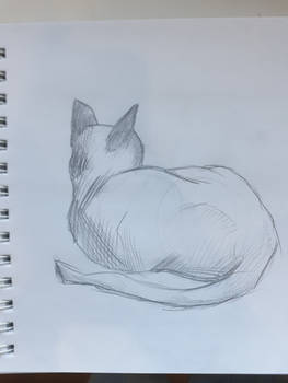 Bhpfvnmriq8amm Bhpfvnmriq8amm