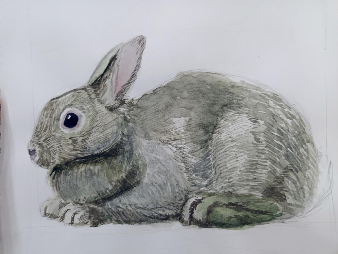 A rabbit painted in paint. by Lara-Kein on DeviantArt