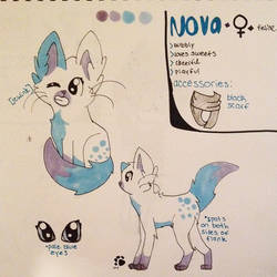 Nova's Reference Sheet