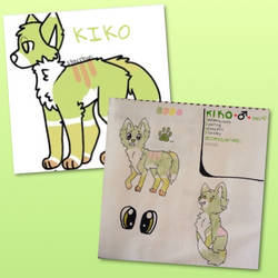 Kiko's Reference Sheet