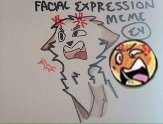 Facial Expression Meme | E4